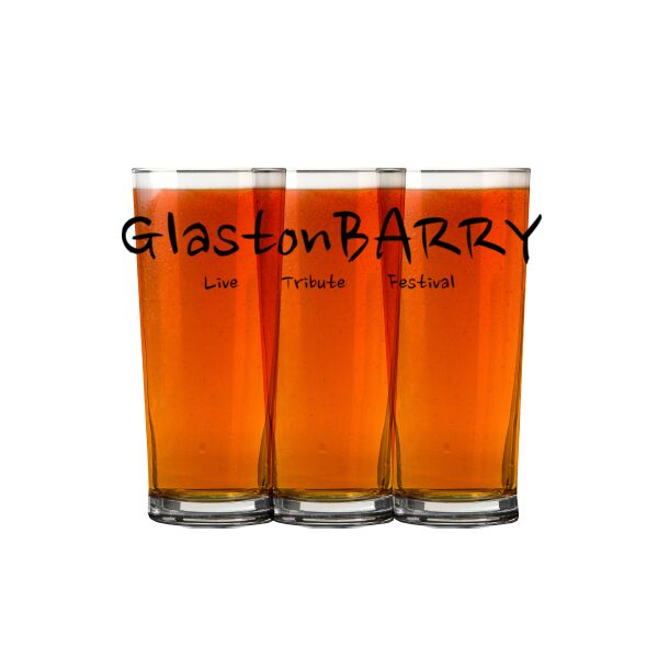 Toughened Senator 10oz Half Pint Glass Thumbnail